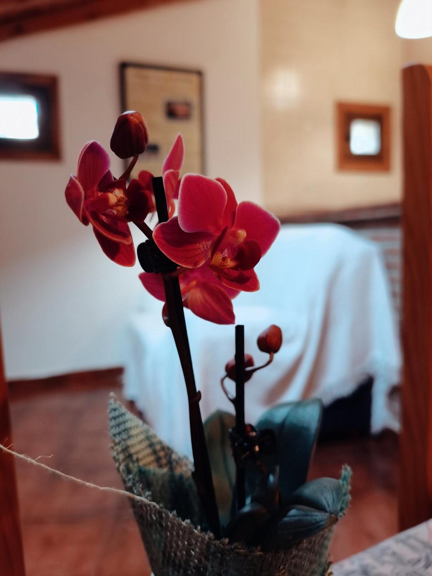 Casa Rural Parada Real Garganta la Olla Zewnętrze zdjęcie